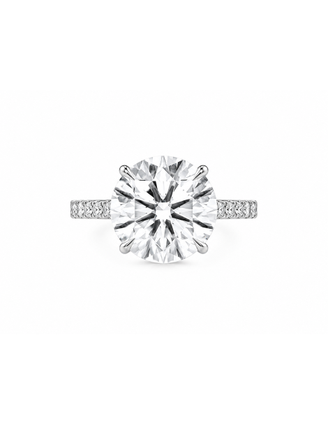 Majesté Blanche